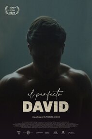 The Perfect David