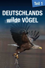 Deutschlands wilde Vögel