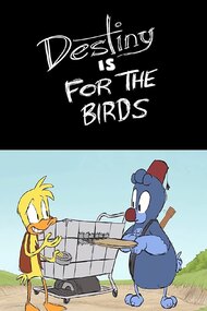 Destiny is for the Birds