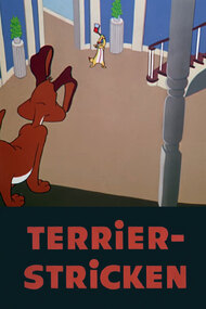 Terrier-Stricken