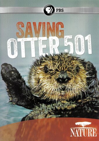 Saving Otter 501