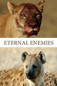 National Geographic: Eternal Enemies Lions and Hyenas