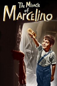 Miracle of Marcellino