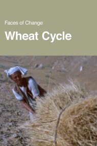 Wheat Cycle