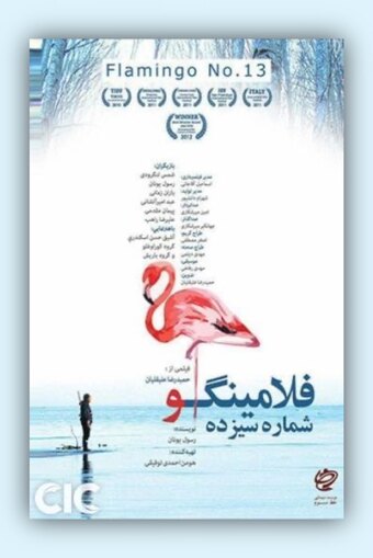 Flamingo No. 13