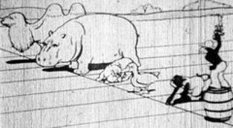 The Animal Olympics