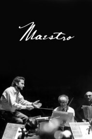 Maestro