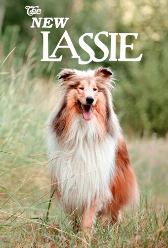 The New Lassie