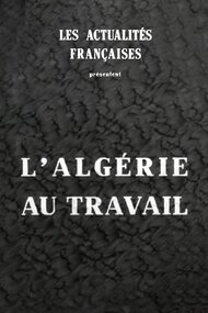 L'Algérie au travail