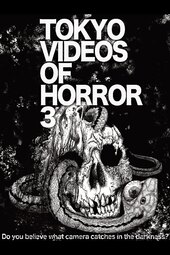 Tokyo Videos of Horror 3
