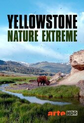 Epic Yellowstone