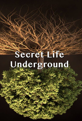 Secret Life Underground