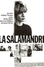 The Salamander