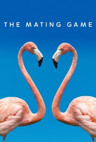 The Mating Game