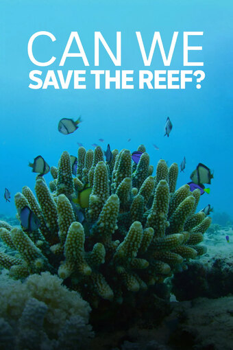 Can We Save the Reef?