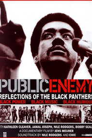 Public Enemy: Reflections of The Black Panthers