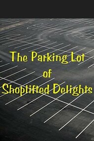 The Parking Lot of Shoplifted Delights