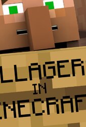 Villager News