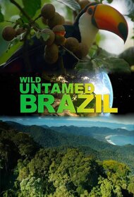 Wild Untamed Brazil