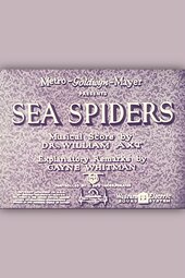 Sea Spiders