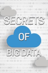 Secrets of Big Data