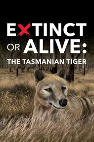 Extinct or Alive: The Tasmanian Tiger