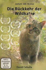 The Return of the Wildcat