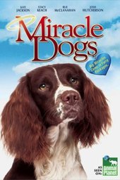 Miracle Dogs