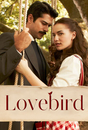 Lovebird