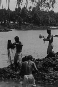 Kanaka Fishermen Casting the Throw Net, Hilo, H.I.