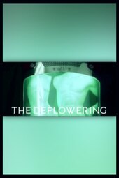 The Deflowering