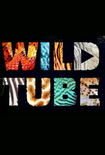 Wild Tube