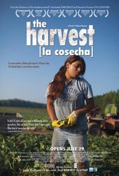 The Harvest (La Cosecha)