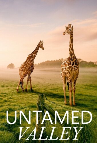 Untamed Valley