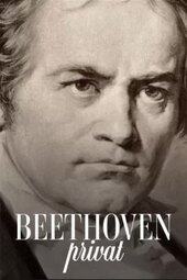 Beethoven privat