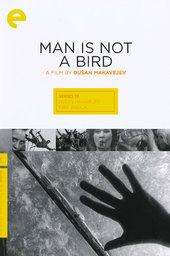 Man Is Not a Bird