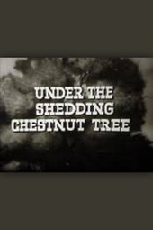 Under the Shedding Chestnut Tree