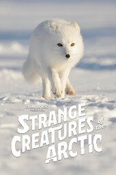 Strange Creatures of the Arctic