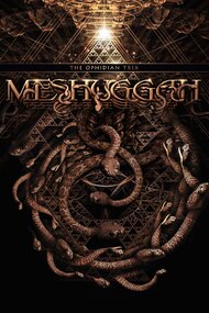 Meshuggah: Konstrukting the Koloss