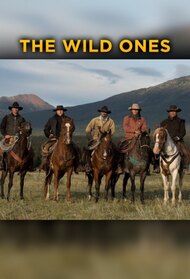 The Wild Ones