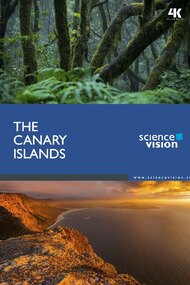 The Canary Islands