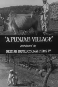 A Punjab Village