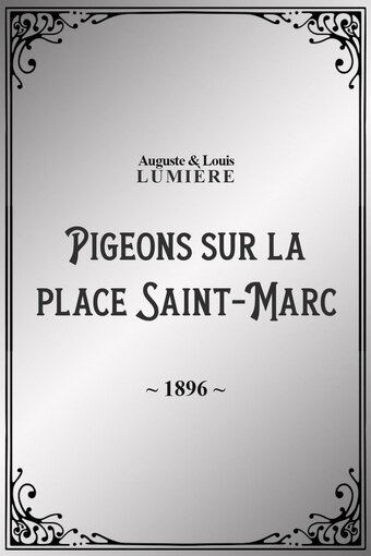 Pigeons sur la place Saint-Marc