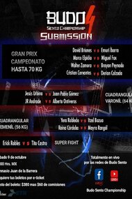 Budo Sento Championship 4