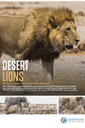Desert Lions