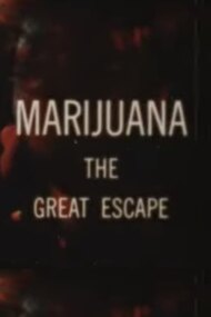 Marijuana The Great Escape