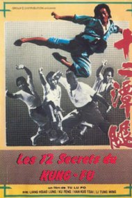 My Kung Fu 12 Kicks