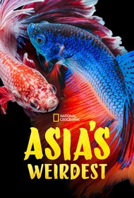 Asia's Weirdest