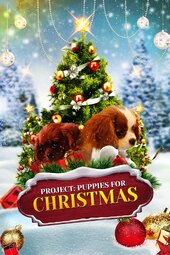 Project: Puppies for Christmas