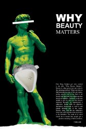 Why Beauty Matters